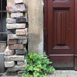 Consolato Generale della Serenissima Repubblica di San Marco